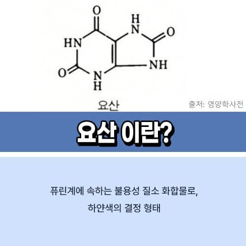 요산수치_낮추는_법