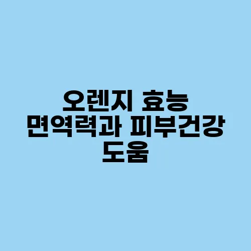 오렌지 효능 면역력과 피부건강 도움