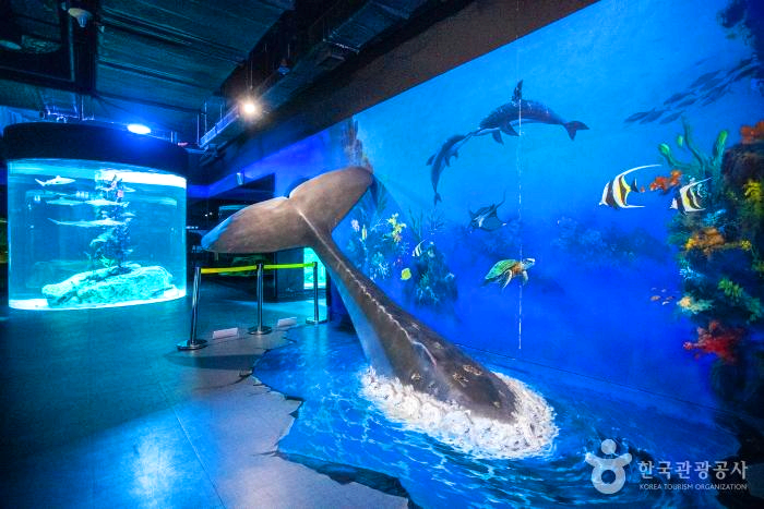 아쿠아리움 내부에 수족관과 고래 꼬리 모형이 있다.