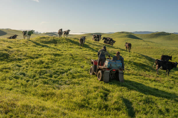 농업인자녀학자금 신청 요령