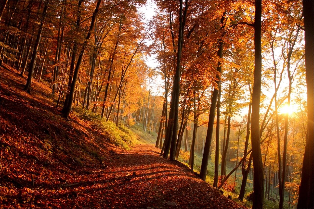 시중은행 정기예금 금리비교