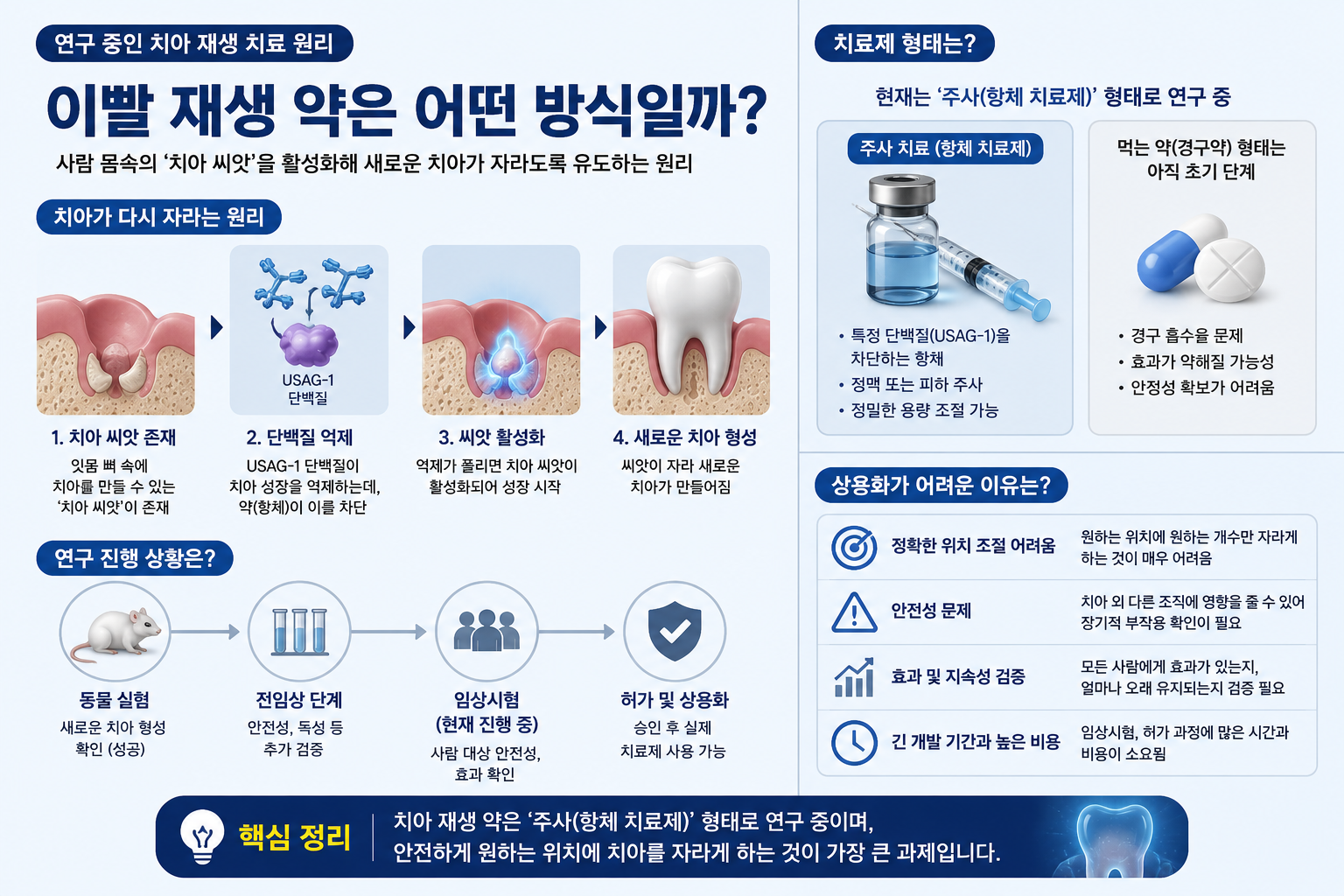 치아 재생 약 원리와 주사 치료 방식 설명