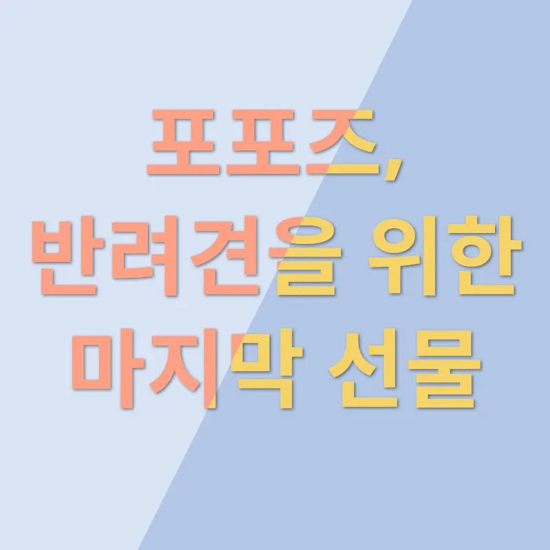 반려견장례식장_3