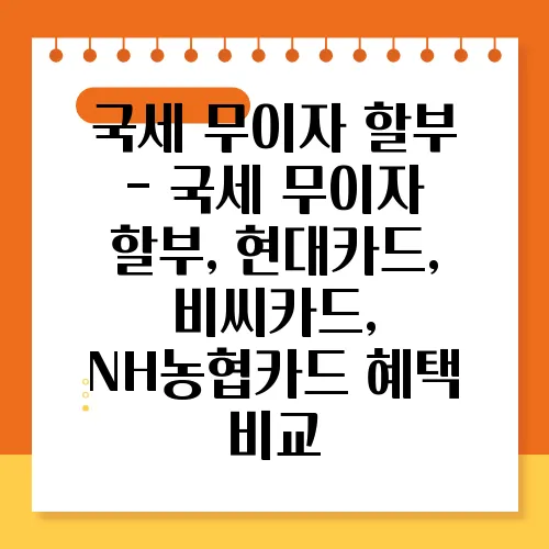국세 무이자 할부 - 국세 무이자 할부, 현대카드, 비씨카드, NH농협카드 혜택 비교