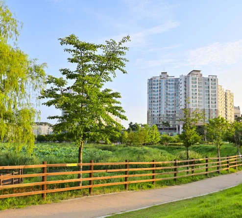 도심 속 힐링 스팟, 청수공원 피크닉