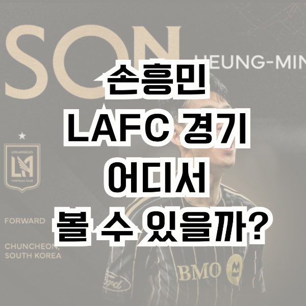 손흥민 LAFC 경기