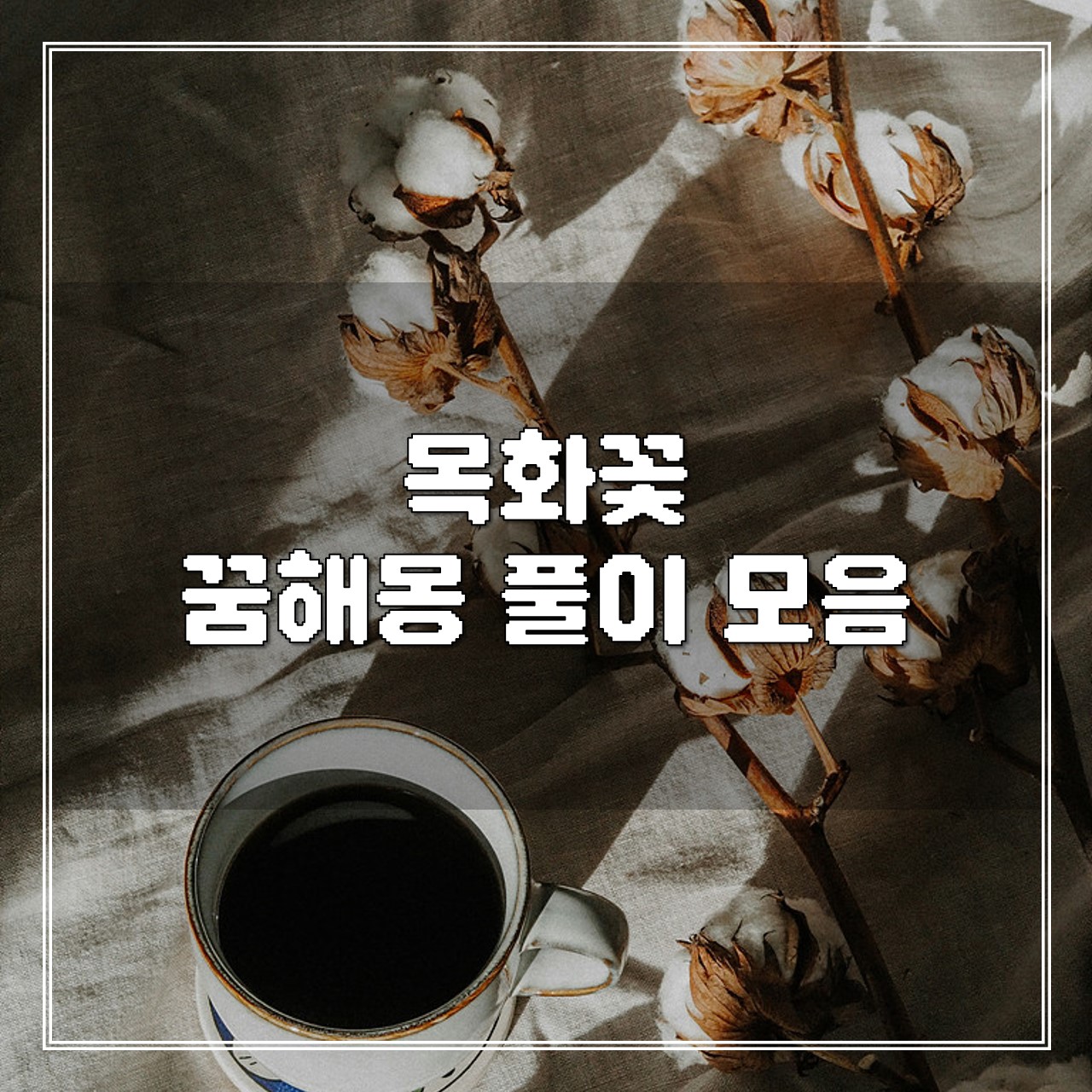 목화꽃 꿈, 꿈해몽 풀이 모음 썸네일