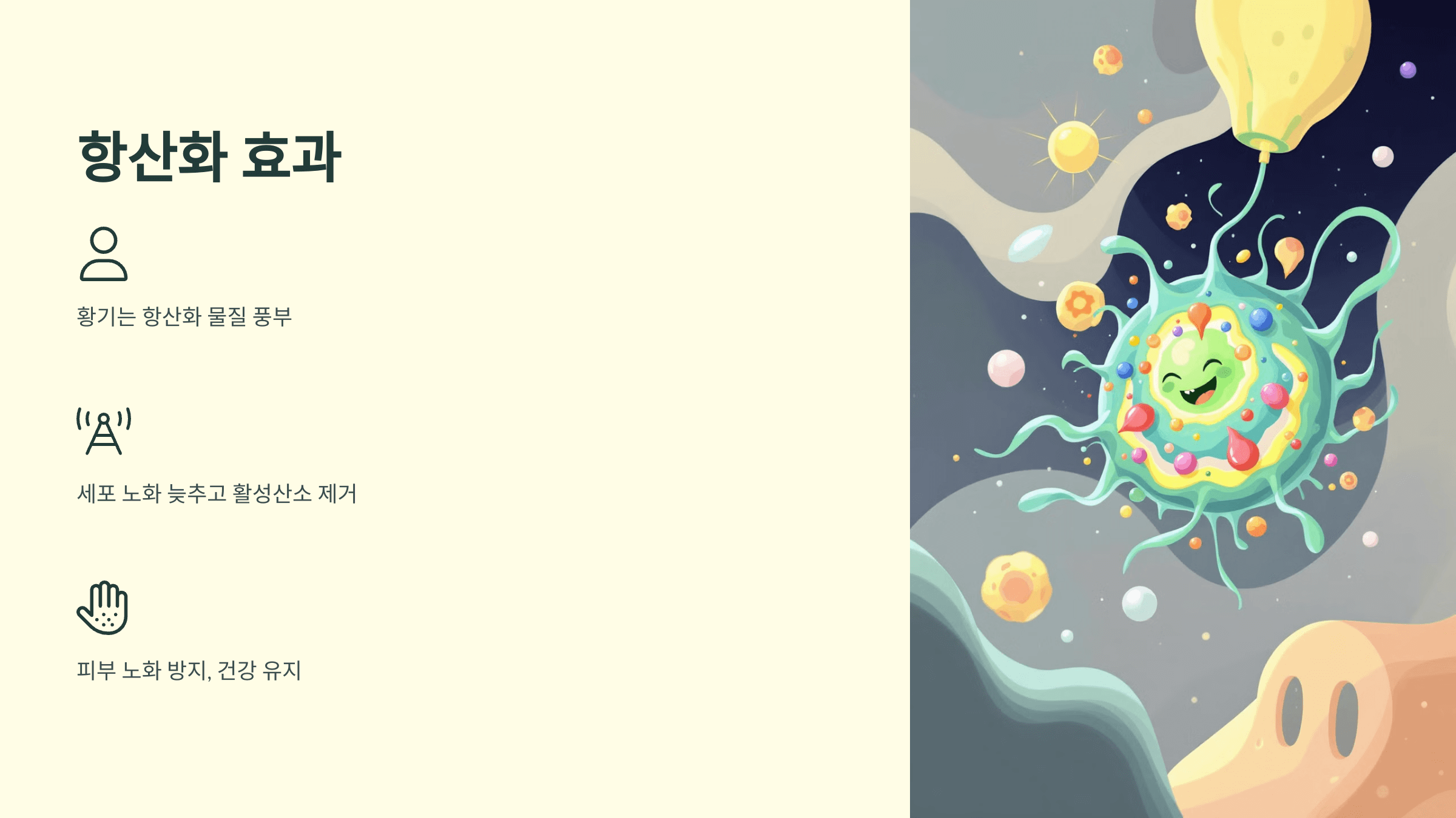 황기와 관련된 사진입니다.