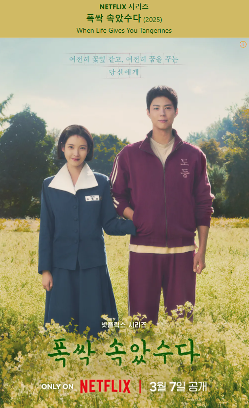 폭싹 속았수다 드라마 관련 사진