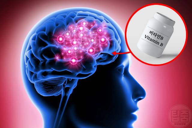 뇌에 좋은 영양제 비타민 b6 b9 b12