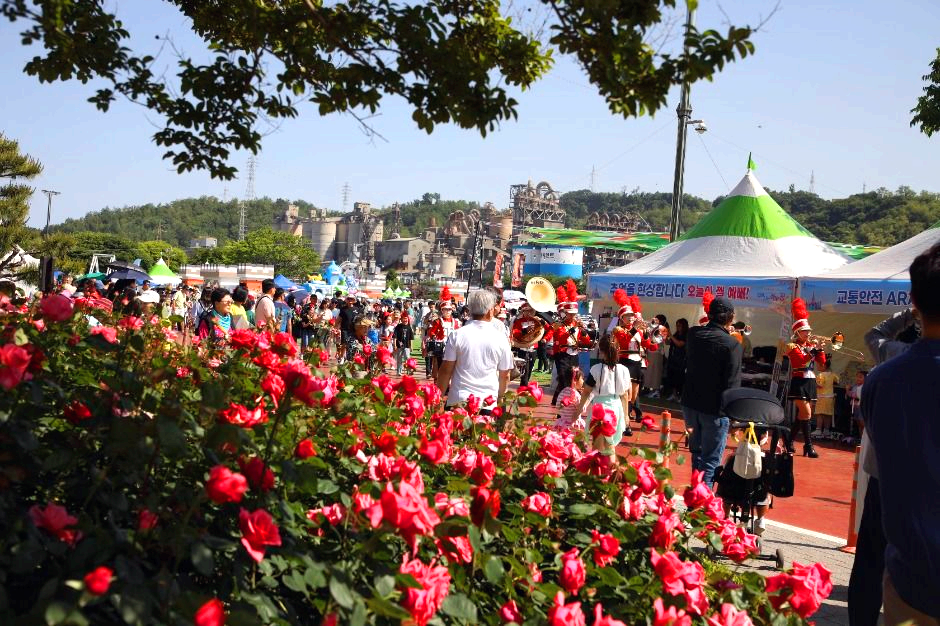 삼척 장미축제