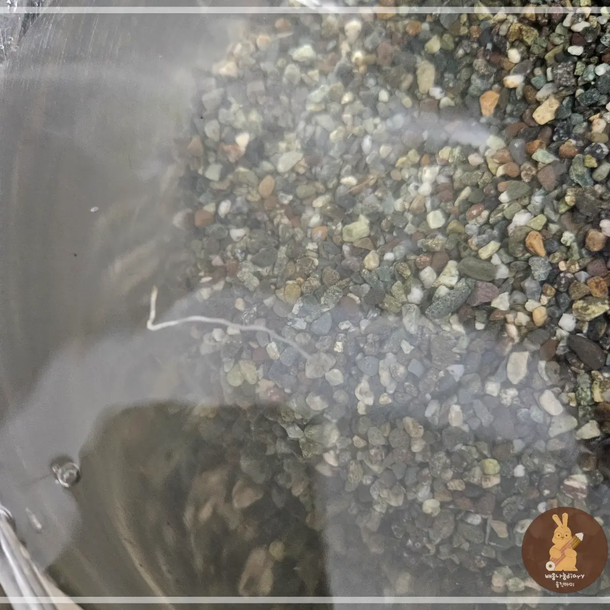 바닥재돌-씻기-물에-뜬-이물질