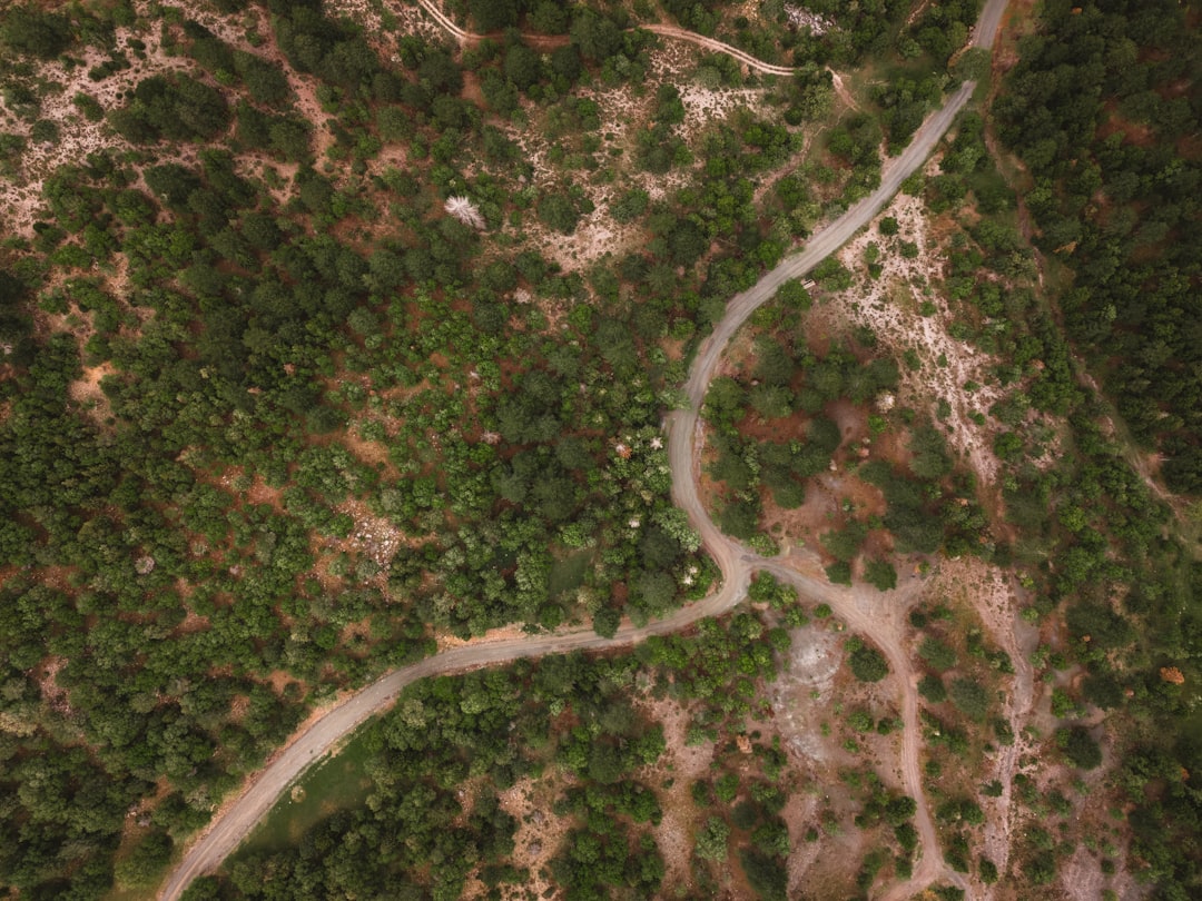 Coverage.