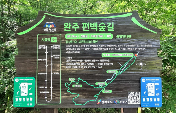 공기마을 편백나무숲