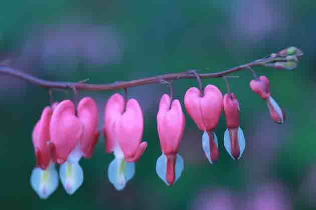 양산 가볼만한곳