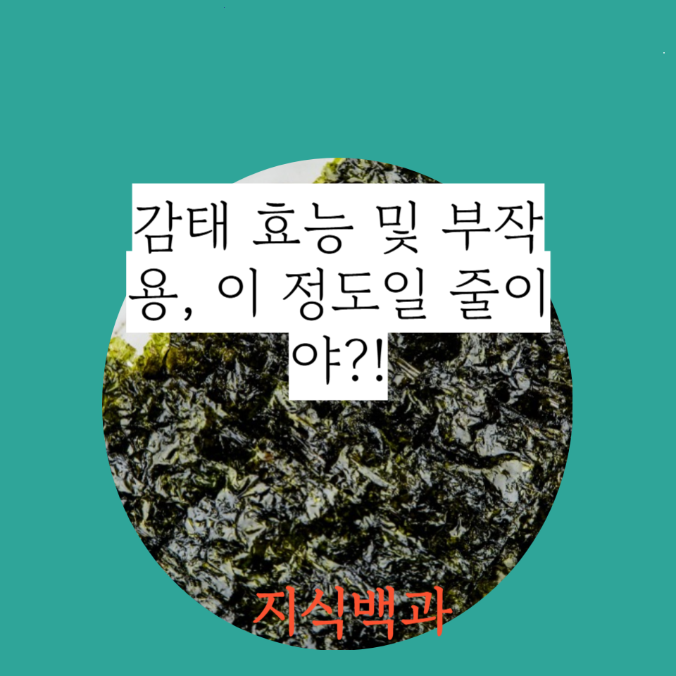 감태 효능 및 부작용, 이 정도일 줄이야?!