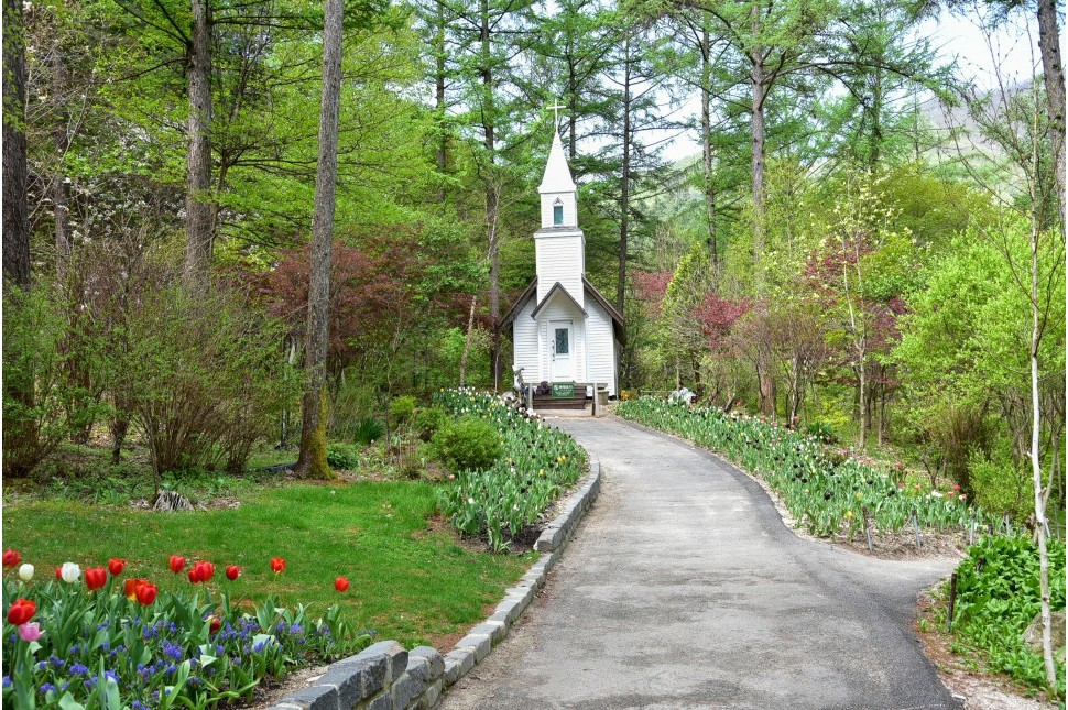 가평-아침고요수목원-사진