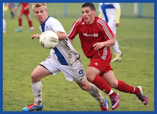 축구 국가대표 감독 연봉 순위: 클린스만&amp;#44; 만치니&amp;#44; 벤투까지 완벽 분석