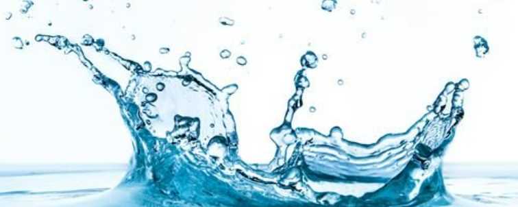 콩팥에 좋은 음식 - 물