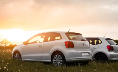 비타민d 부족증상 하루 권장량 많은 음식 효능