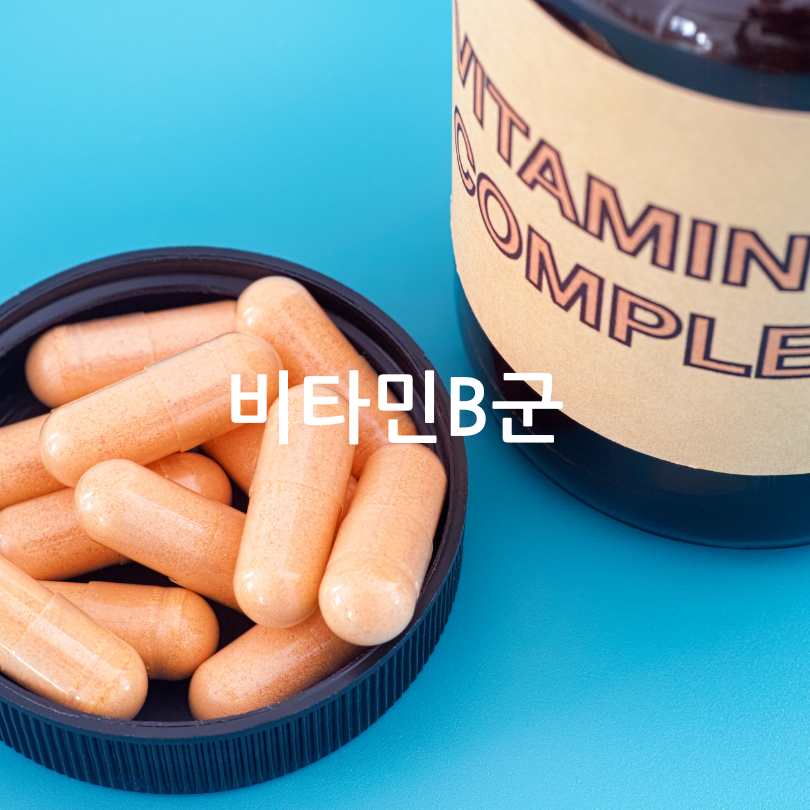 간에좋은영양제