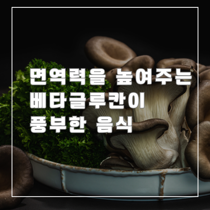 베타글루칸이 풍부한 음식