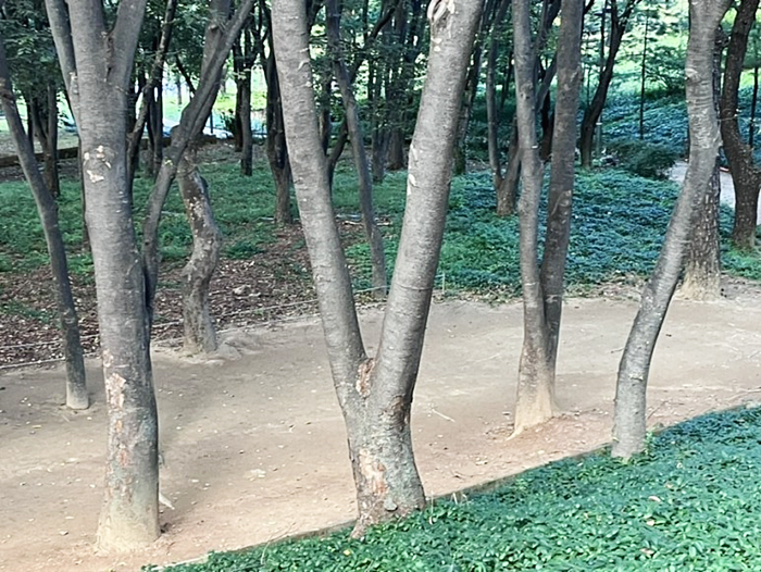 용산가족공원