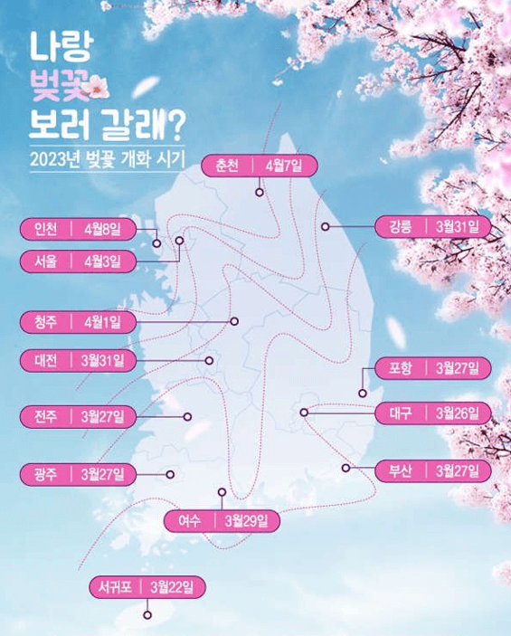 벛꽃-개화시기를-나타낸-표