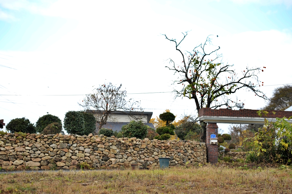 도갑리 죽정마을 돌담길