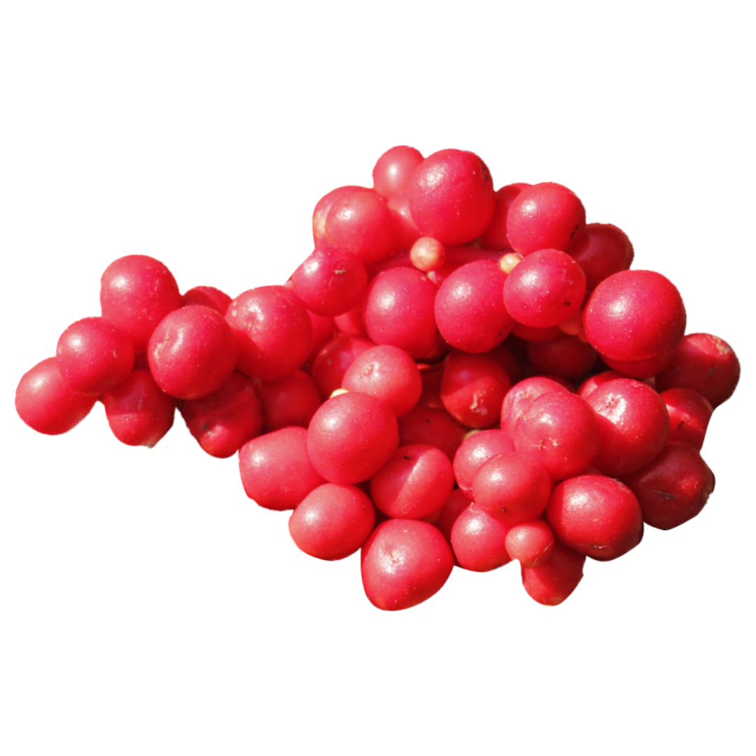 오미자청과 관련된 사진입니다.