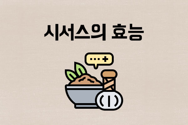시서스의효능 썸네일