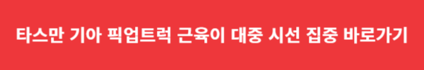 타스만 기아 픽업트럭 근육이 대중 시선 집중 바로가기