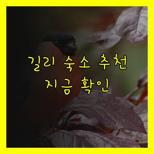 인도네시아 길리 에어 최고의 숙소 4
