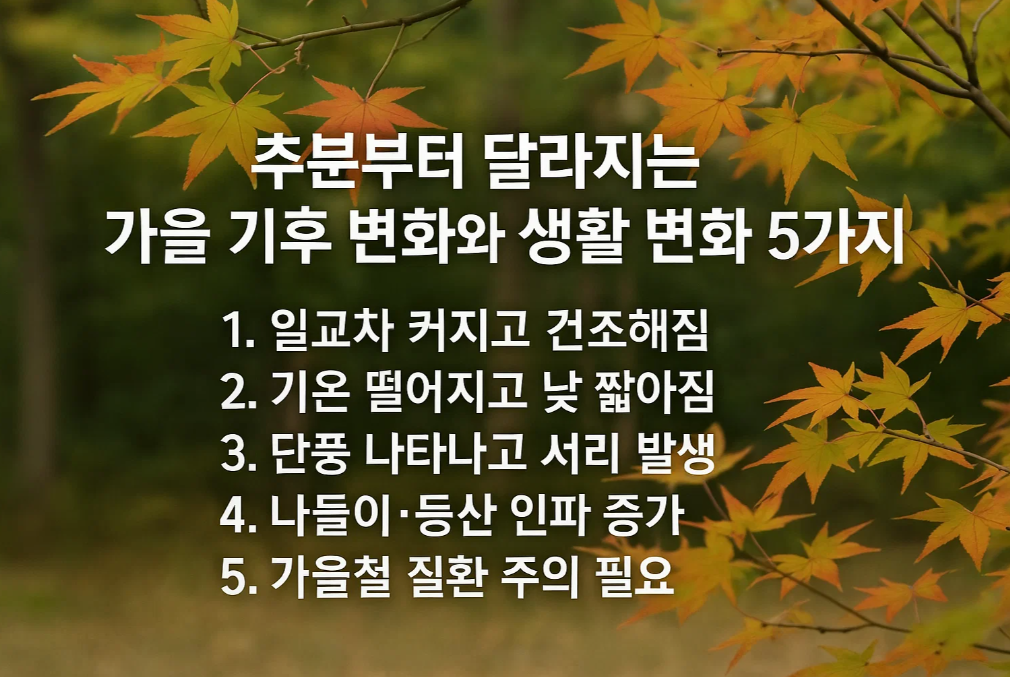 추분부터 달라지는 가을 기후 변화와 생활 변화 5가지