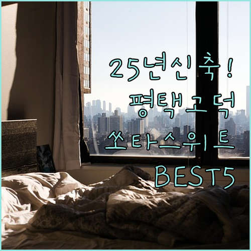 2025년 신축 쏘타스위트 포함 평택..