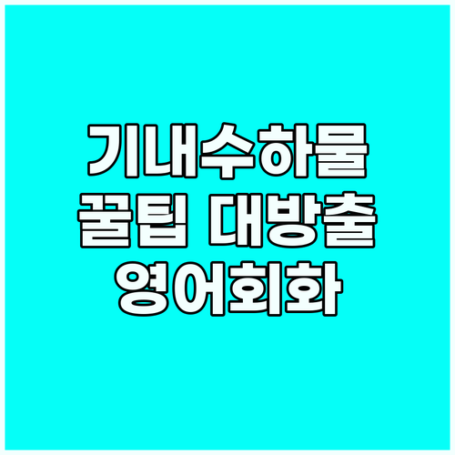 여행 고수를 위한 기내 수하물 꿀팁:..
