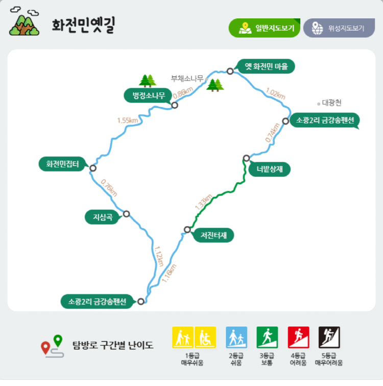 울진 금강송 소나무숲길