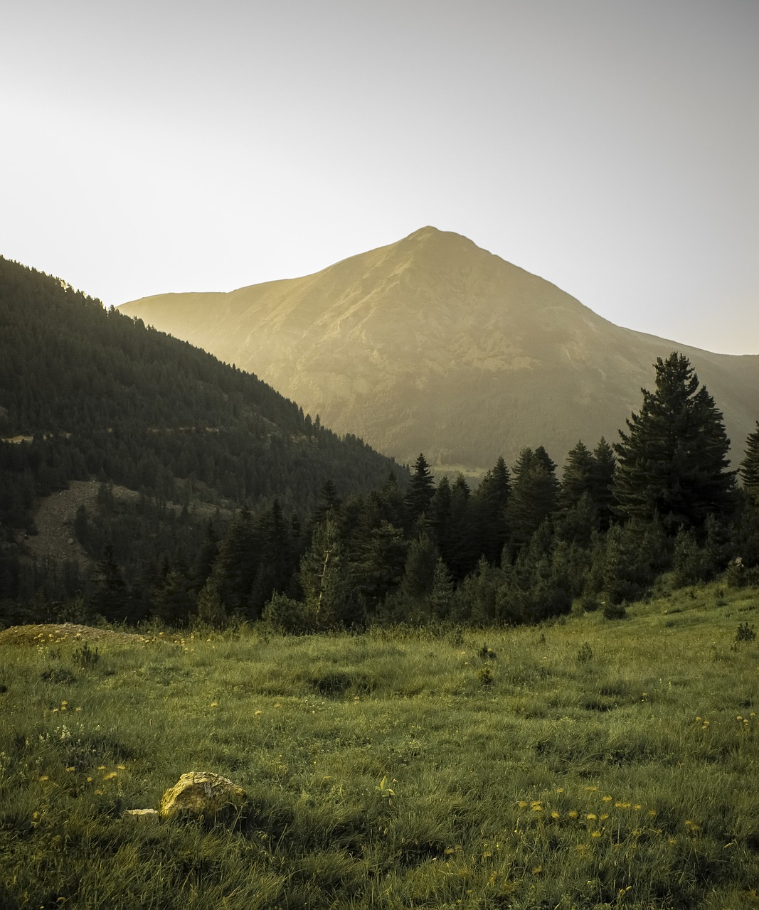 추첨신청 이용 안내