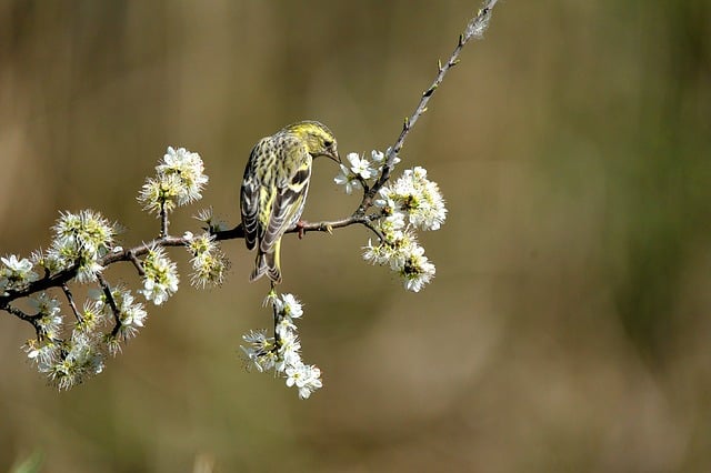 김수미 나이 프로필 정리 ✅