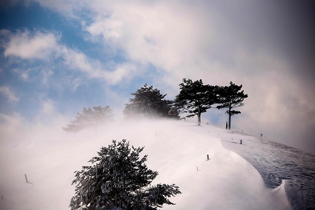 겨울 지리산 성삼재 주차