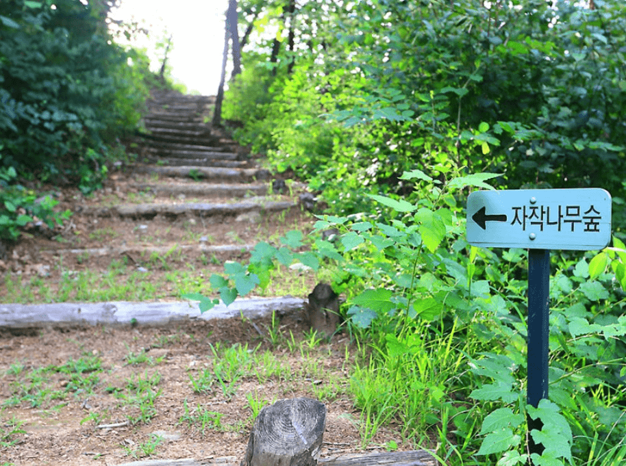 서후리숲