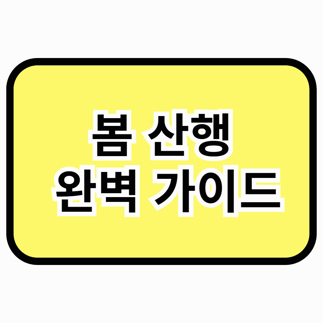 봄산행 완벽 가이드