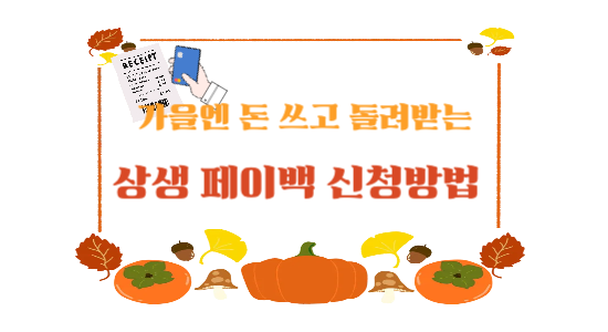 2025 상생페이백 최대 30만 원 지원 신청 방법과 지원 조건 총정리