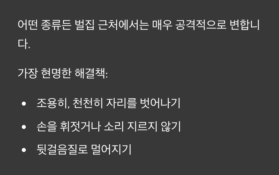 5. 최고의 대처는 '마주치지 않는 것'