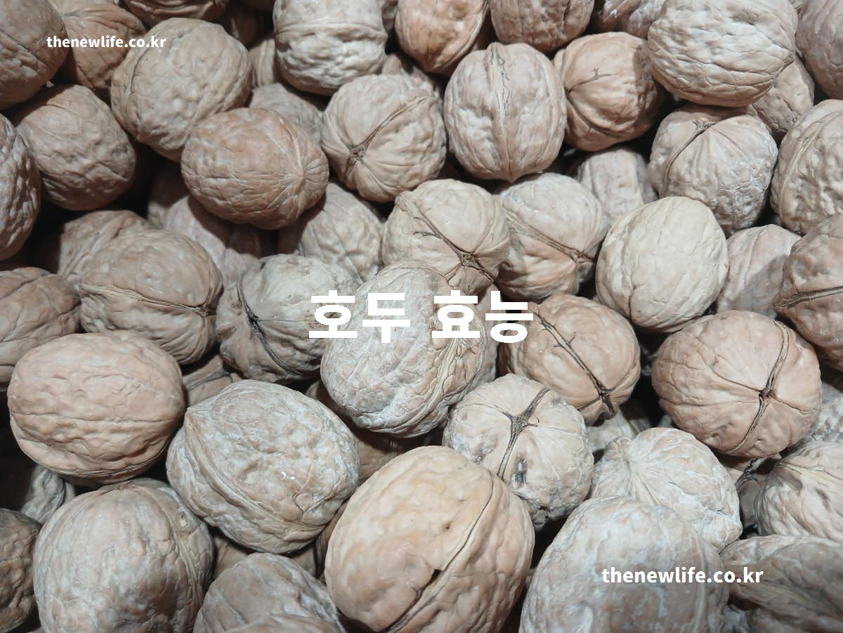 호두 효능 대표 실사진