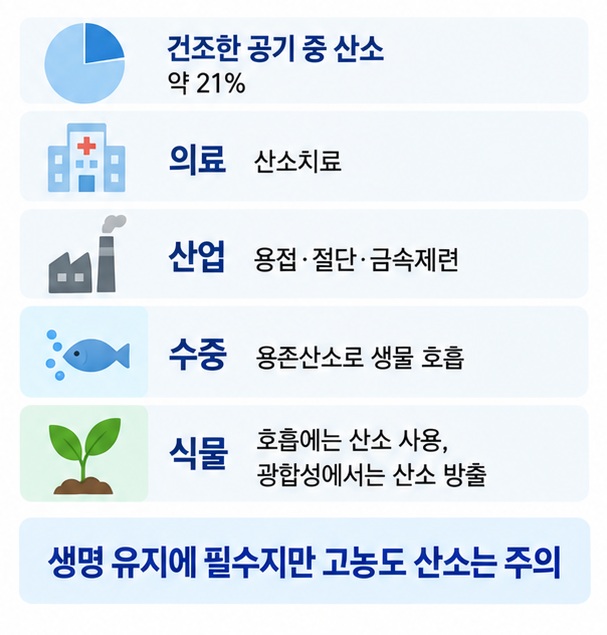공기 중 산소 약 21퍼센트와 의료용 산소 산업용 산소 수중 용존산소 식물 호흡에서의 활용을 설명한 이미지