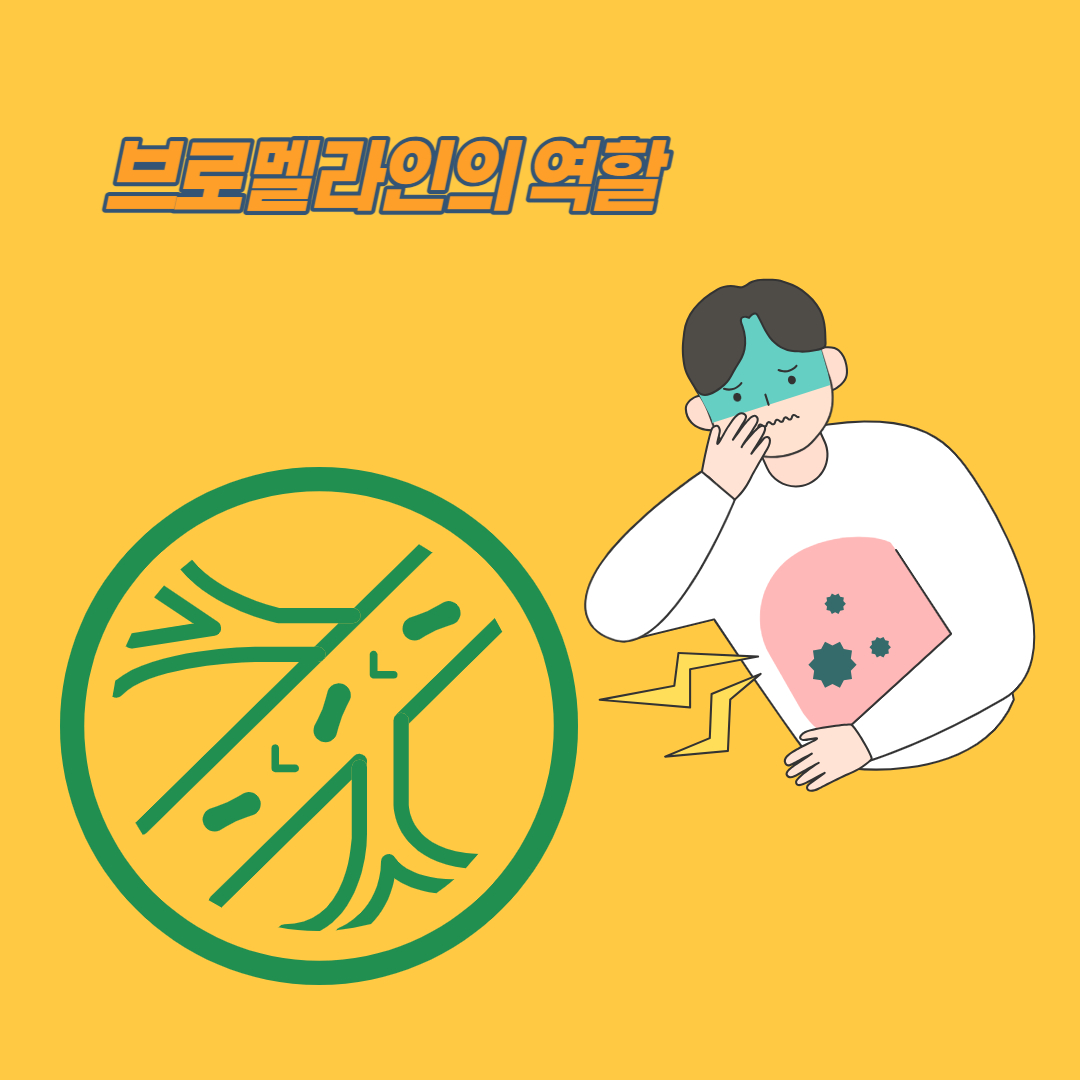 브로멜라인