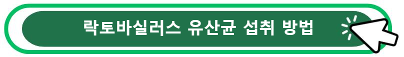 락토바실러스 유산균 섭취 방법 알아보기
