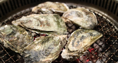 굴 제철, 굴 효능과 굴 요리