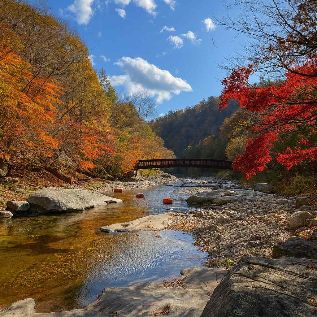 오대산 국립공원 단풍 절정 시기